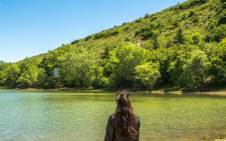 טביליסי לטבעונים